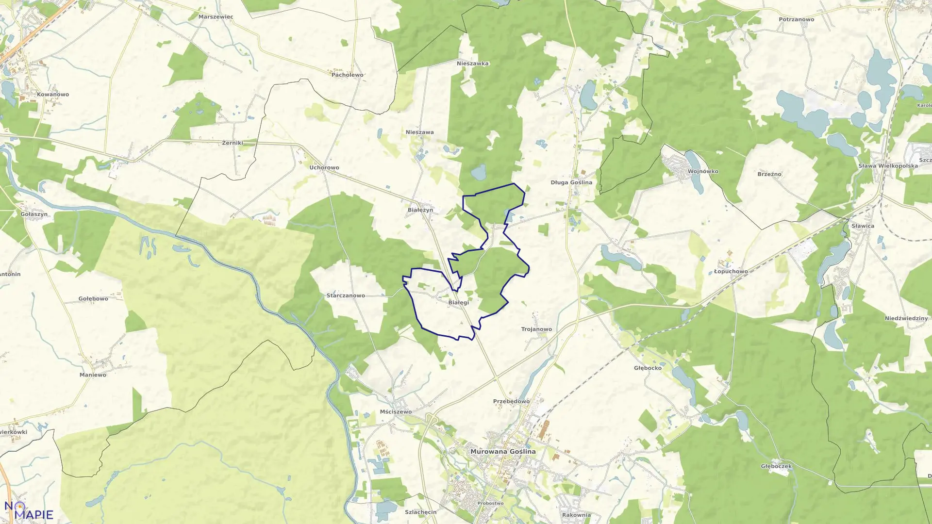 Mapa obrębu BIAŁĘGI w gminie Murowana Goślina