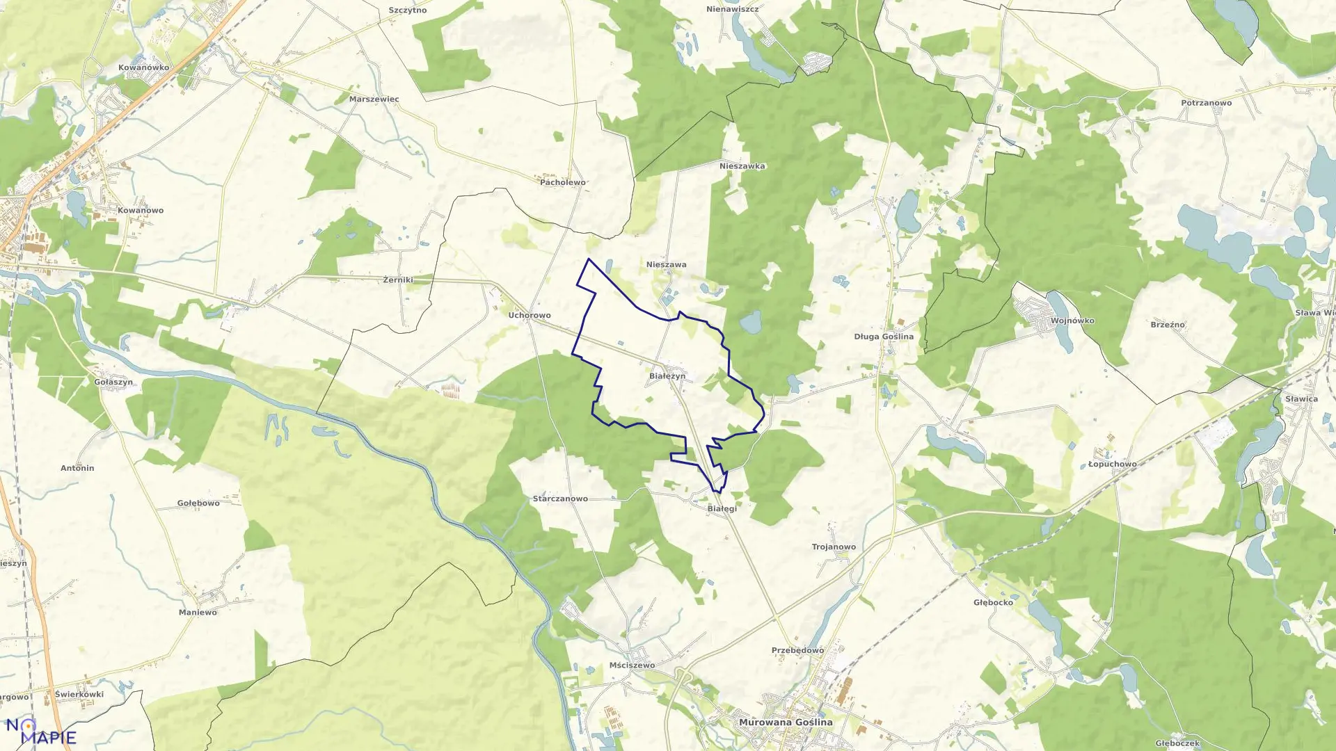 Mapa obrębu BIAŁĘŻYN w gminie Murowana Goślina